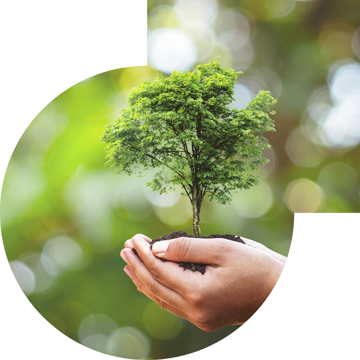 关怀人类、文化、环境与社会